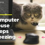computer mouse keeps freezing