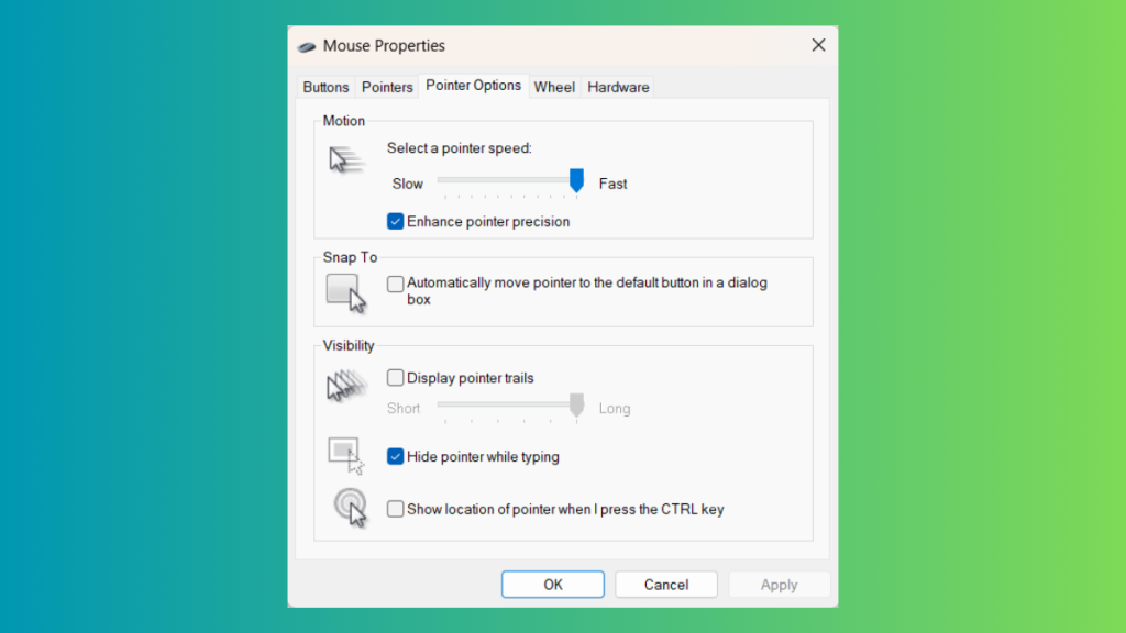 Mouse Properties Window